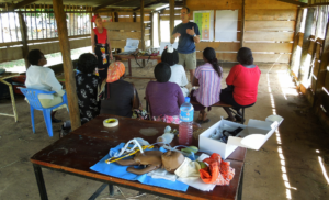 2012 Introduction to Helping Babies Breathe